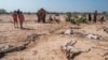 UNICEF Official Warns of Looming Famine in Ethiopia
