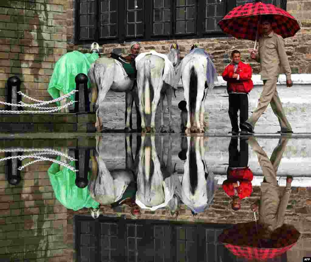 The reflection of horses, their keepers, and an umbrella-toting pedestrian is seen in a puddle of water following heavy monsoon rains in the northern hilltown of Shimla, India.