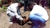 Young professionals plant a tree in Béret, southern Haiti for World Environment Day. 