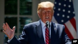 President Donald Trump speaks during a news conference with Polish President Andrzej Duda in the Rose Garden of the White House, June 12, 2019, in Washington. 