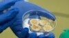 Baby Doing Well after Experimental Heart Replacement Operation
