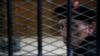 Egypt Refers 555 Terror Suspects to Military Court