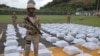 En 2021, en Centroamérica se incautaron cerca de 250 toneladas de drogas, una cifra récord impulsada por el aumento de la producción de cocaína, la liberación de drogas almacenadas durante la pandemia y nuevas estrategias para trasladarlas a EE. UU. y Europa.