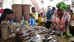 Reportage de Ngouela Ngoussou, correspondant à Brazzaville pour VOA Afrique