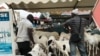 L'Eid célébrée au sein de la communauté musulmane sénégalaise