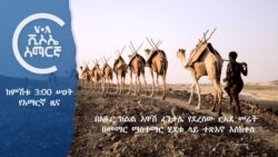ከምሽቱ 3:00 የአማርኛ ዜና