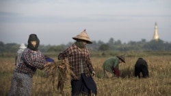 အိန္ဒိယရဲ့ အားကောင်းလာတဲ့ ပြည်ပဆန်တင်ပို့မှု