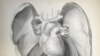 Study: Your Lungs Can Smell