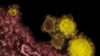 Spike in MERS Raises Concerns about Precautions