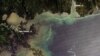 Long-Term Effects Feared After Gulf of Mexico Oil Rig Explosion