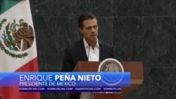 Reunión con Peña Nieto