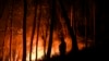 Siluet dari seorang petugas pemadam kebakaran yang tampak berdiri di tengah hutan yang dilanda kebakaran di Casais do Vento, Alvaiazere, Portugal, pada 10 Juli 2022. (Foto: AFP/Patricia De Melo Moreira)