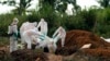 Six nouveaux cas d'Ebola en Ouganda, selon l'OMS
