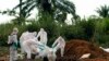 Idadi ya waliofariki na Ebola Uganda yaongezeka