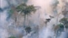 The forest burns near Prey Long, Cambodia in this undated handout photo. 