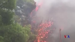 希臘當局認為野火有可疑