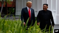 도널드 트럼프(왼쪽) 미국 대통령과 김정은 북한 국무위원장이 지난 12일 싱가포르 카펠라 호텔 구내에서 걷고 있다. 