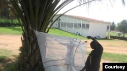 FILE - Researchers in Uganda demonstrate the design of the SmartNet technology. SmartNets use conductive fabric to detect when they are folded up or in use. (Photo courtesy of Paul Krezanoski)