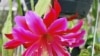 16x9 Image