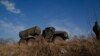 US, Ukraine Urge Russia to Pursue Political Solution to Ukraine Conflict 