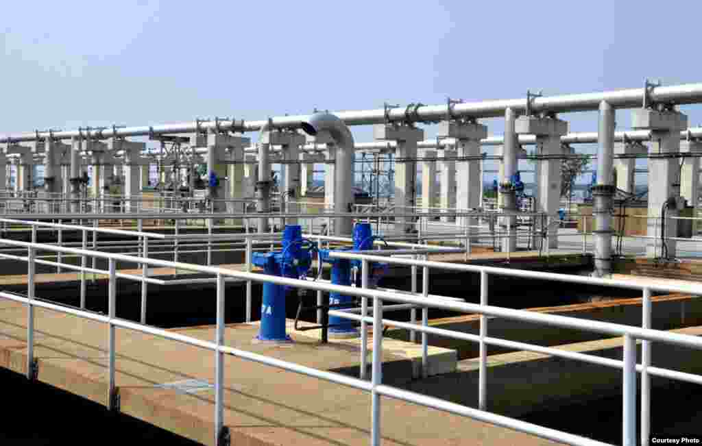 Microbes convert ammonia into harmless nitrogen gas. (Credit: DC Water)