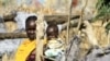 Multinacionais ajudam África a conquistar independência alimentar