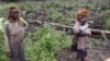 African Development Could Spell Environmental Catastrophe