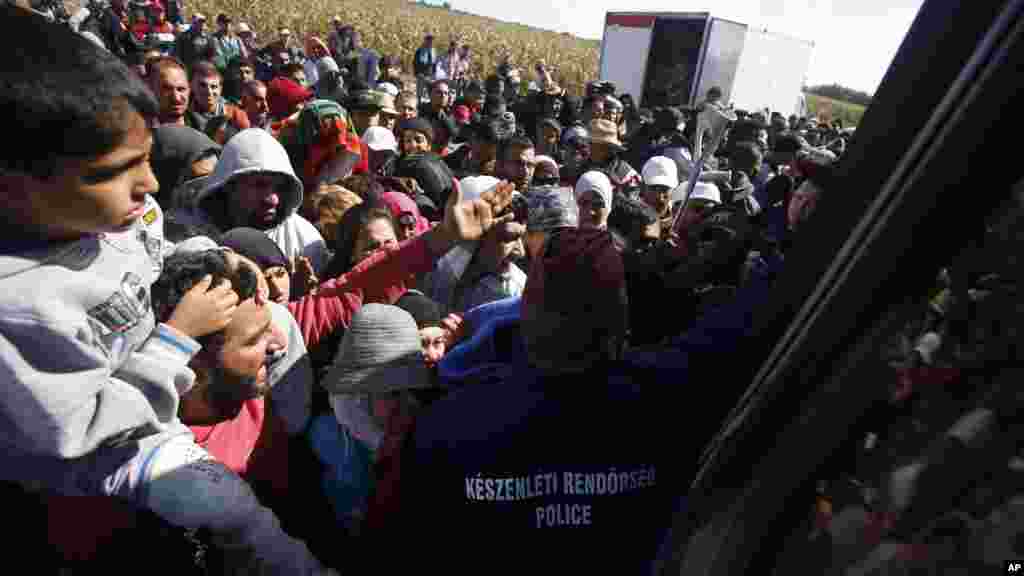 Des migrants arrivent à Roszke à bord d'un autobus.