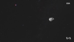 'Insect Vision' Hunts Down Asteroids