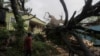 Pohon tumbang akibat Badai Tropis Fred yang menghantam kawasan Santo Domingo, Republik Dominika, 11 Agustus 2021.
