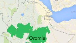 ኣብ ኢትዮጵያ ምዕራብ ወለጋ ኣብ ወታሃደራዊ ስፍራ ብዝተደርበየ ነታጊ 1 ሰብ ሞይቱ ካልኦት 3 ቆሲሎም