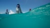 16x9 Image
