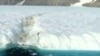 Greenland Ice Island Prompts Global Warming Debate