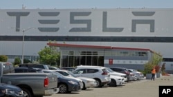 FILE - A masked person walks on the grounds of the Tesla plant in Fremont, California, May 11, 2020. The parking lot at the electric car factory was nearly full.