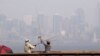 Wildfires Make Northwest Air Unhealthy to Breathe