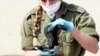 Syria Misrepresents Scale of Mediterranean Oil Spill