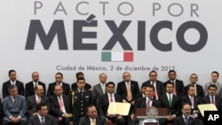 Chim bồ câu đậu trên lưng một con kỳ nhông hoang dã trong công viên Seminario Park ở Guayaquil, Ecuador.