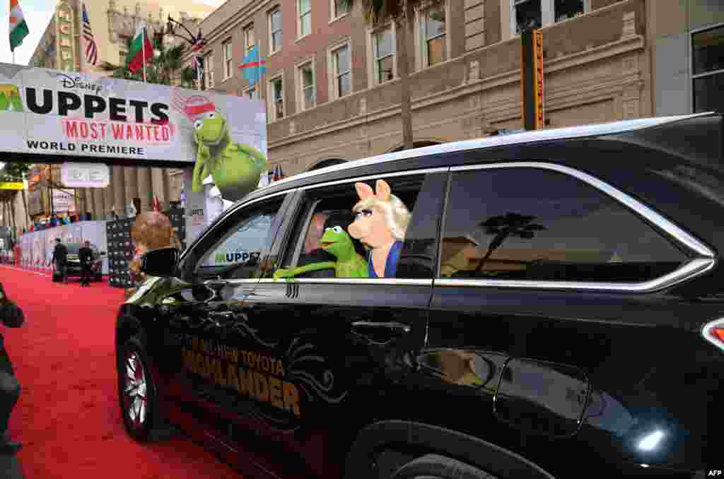 Kermit si Kodok dan Miss Piggy tiba dalam acara Disney 'Muppets Most Wanted' di teater El Capitan, Hollywood, negara bagian California. 