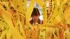 Four South Korea Ferry Crew Members Charged With Manslaughter