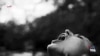 16x9 Image