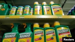 Glifosat, yang umumnya dikenal sebagai RoundUp produksi perusahaan AS Monsanto, kini dilarang dipakai di Thailand. 