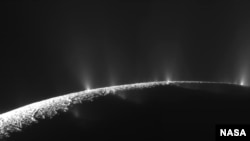 Numerous plumes are seen rising from long tiger-stripe canyons across Enceladus' craggy surface. 