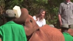 Melania Trump à la rencontre d'éléphants au Kenya (vidéo)