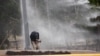 Un periodista es alcanzado por el chorro de un cañón de agua mientras cubre una protesta contra el alza de los precios de la energía en Tegucigalpa, Honduras, el 2 de junio de 2018.