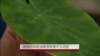 新型防水防油喷漆有望不久问世