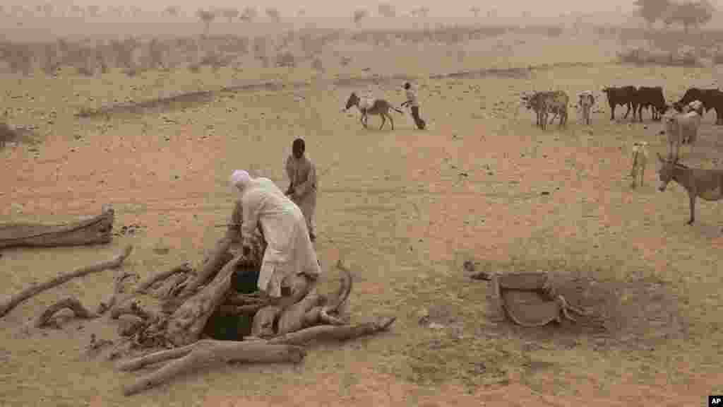 Des Tchadiens utilisent un âne pour tirer de l'eau, dans un oued près de Tchyllah, au Tchad, le 19 avril 2012.