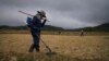 Technicians sweep a paddy field for UXO in Xiangkhouang Province, Laos, December 2014. (Sean Sutton/MAG)