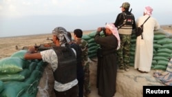Combatientes tribales vigilan en Amriyat al-Falluja, provincia de Anbar en Irak.
