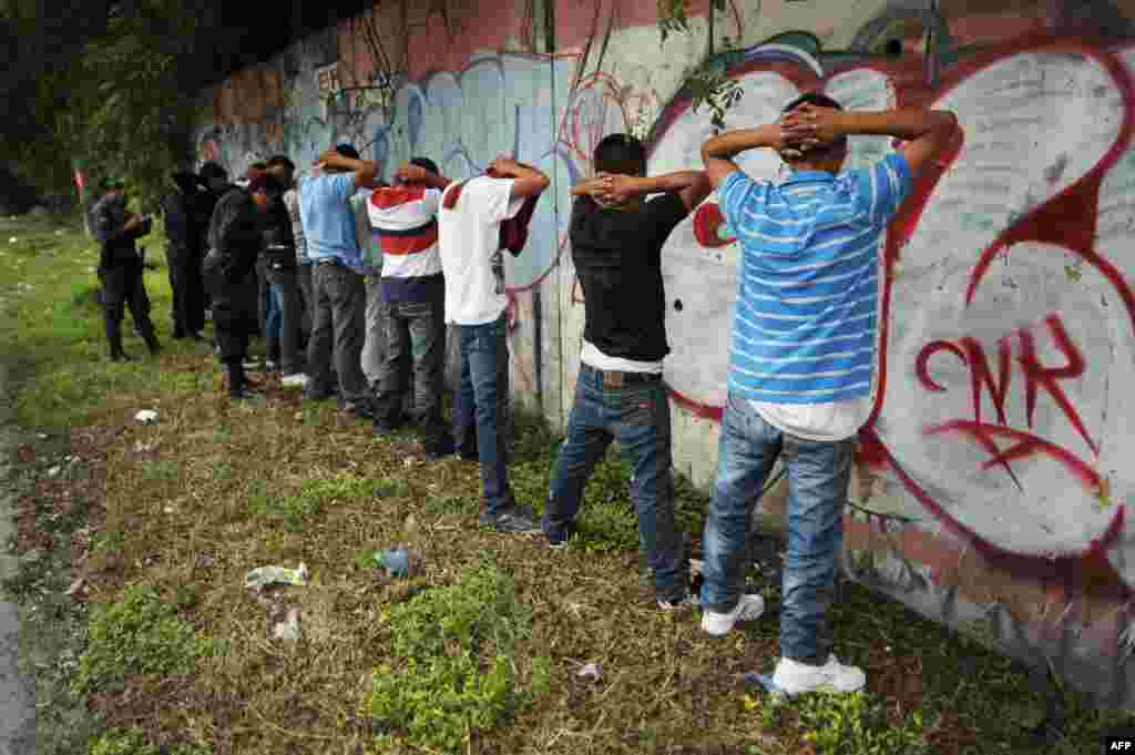 Des membres du gang MS-13 lors d'une arrestation au Salvador, le 20 septembre 2012