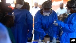 Ma'aikatan kiwon ladiya daga hukumar kiwon lafiya ta duniya da suke aiki a Congo domin kawar da cutar ebola